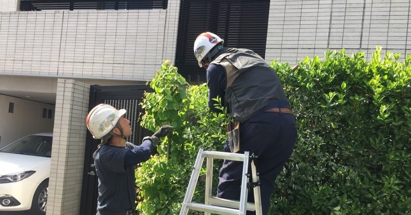 【感想】「自宅の庭の手入れをする」つもりが「庭師がセカンドキャリア」に。