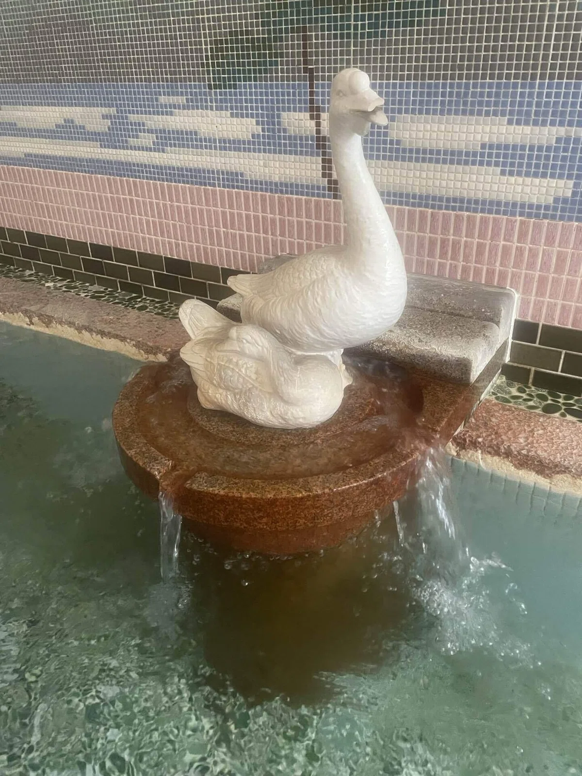 ç»å