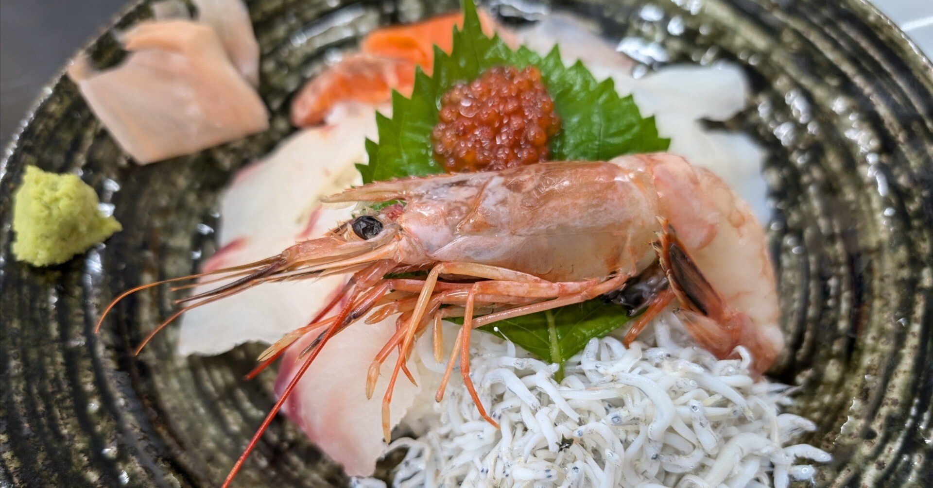 たくさん走る(能島水軍レストラン)#496｜やん（矢野達也）