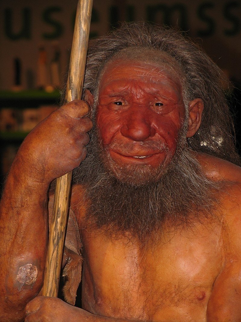 図解 約700万年前 前100年 これならわかる ゼロからはじめる世界史のまとめ みんなの世界史 Note 図解 約700万年前 前100年 これならわかる ゼロからはじめる世界史のまとめ みんなの世界史 Note