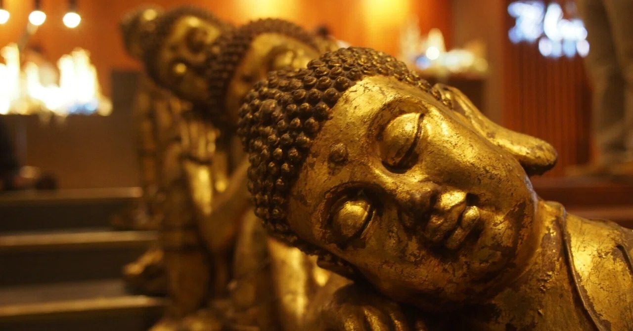お寺回りが楽しくなりそうな仏教の神々の基本の「キ」・初心者(私)のための覚書|カナダで時々お抹茶(西島わけい)
