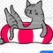 ウミネコ