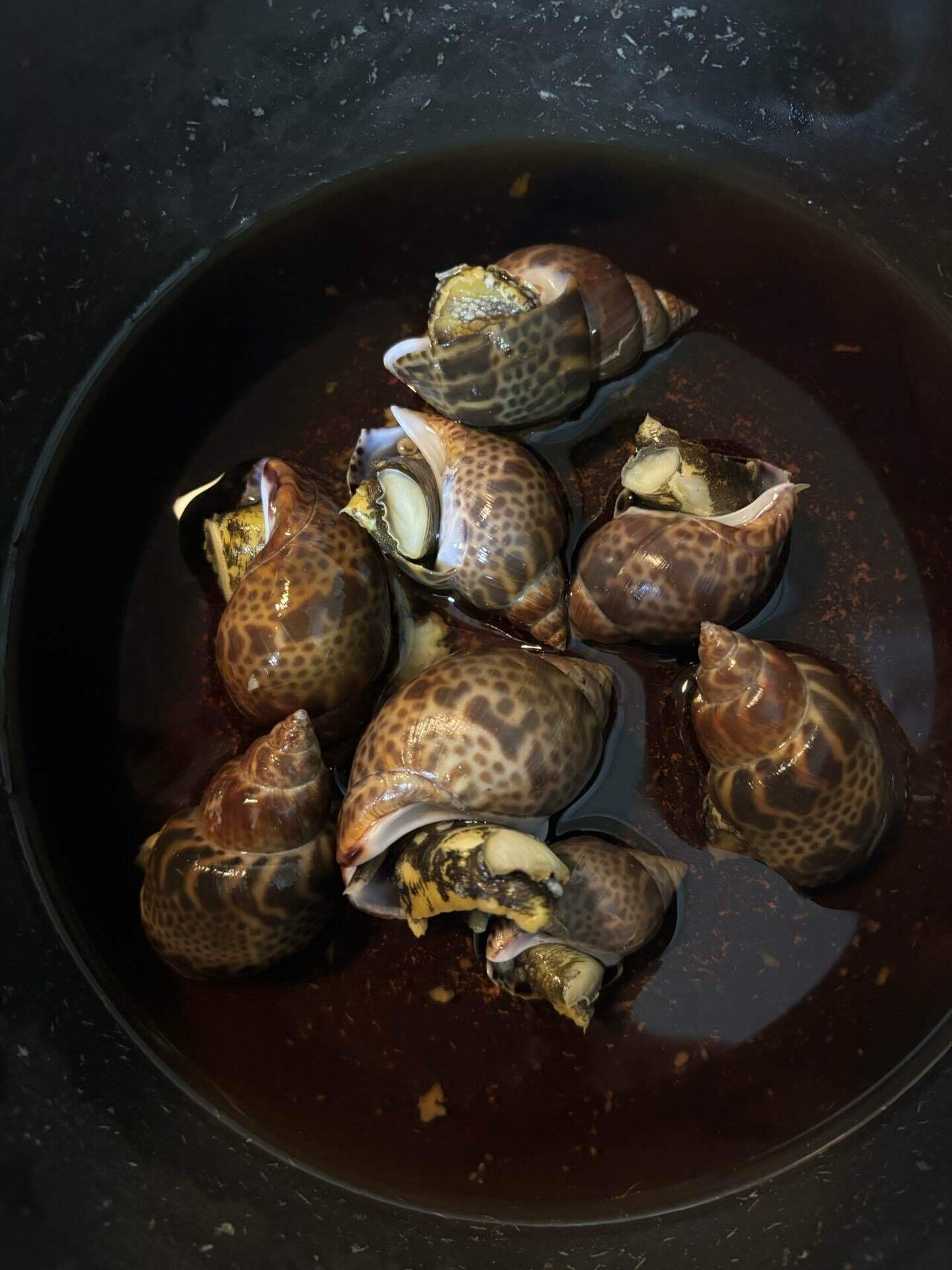 バイ貝で貝独楽をつくる①（ベーゴマ考145）｜『あそび』と『まなび