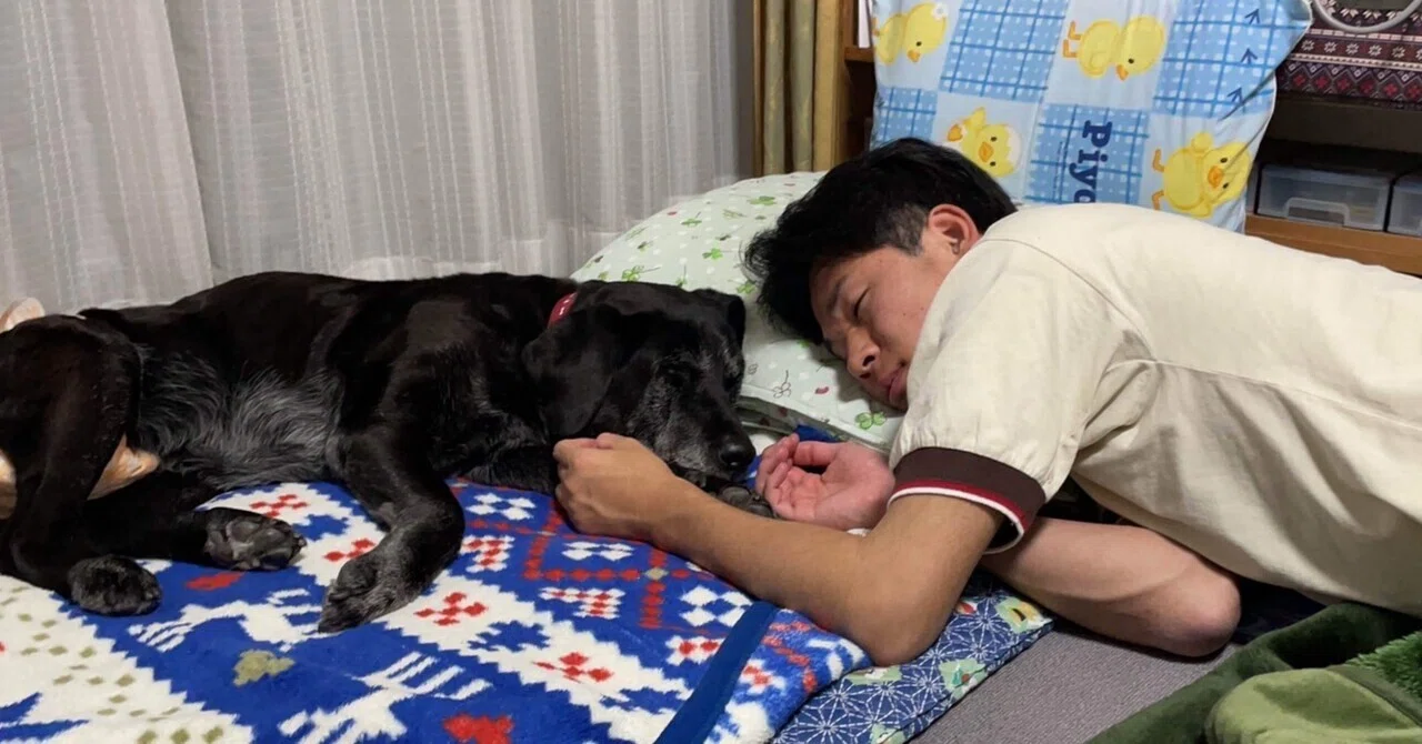 合うは離れの始め、楽しみは憂いの伏す所|しらこ