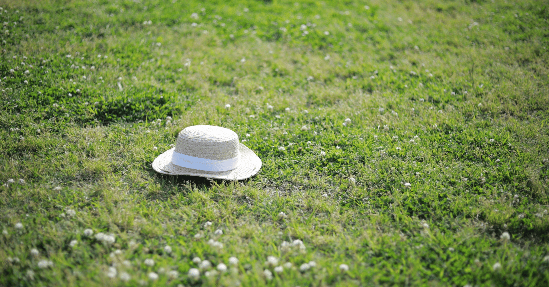 最新2025年】草コインの将来性｜卒論No.1