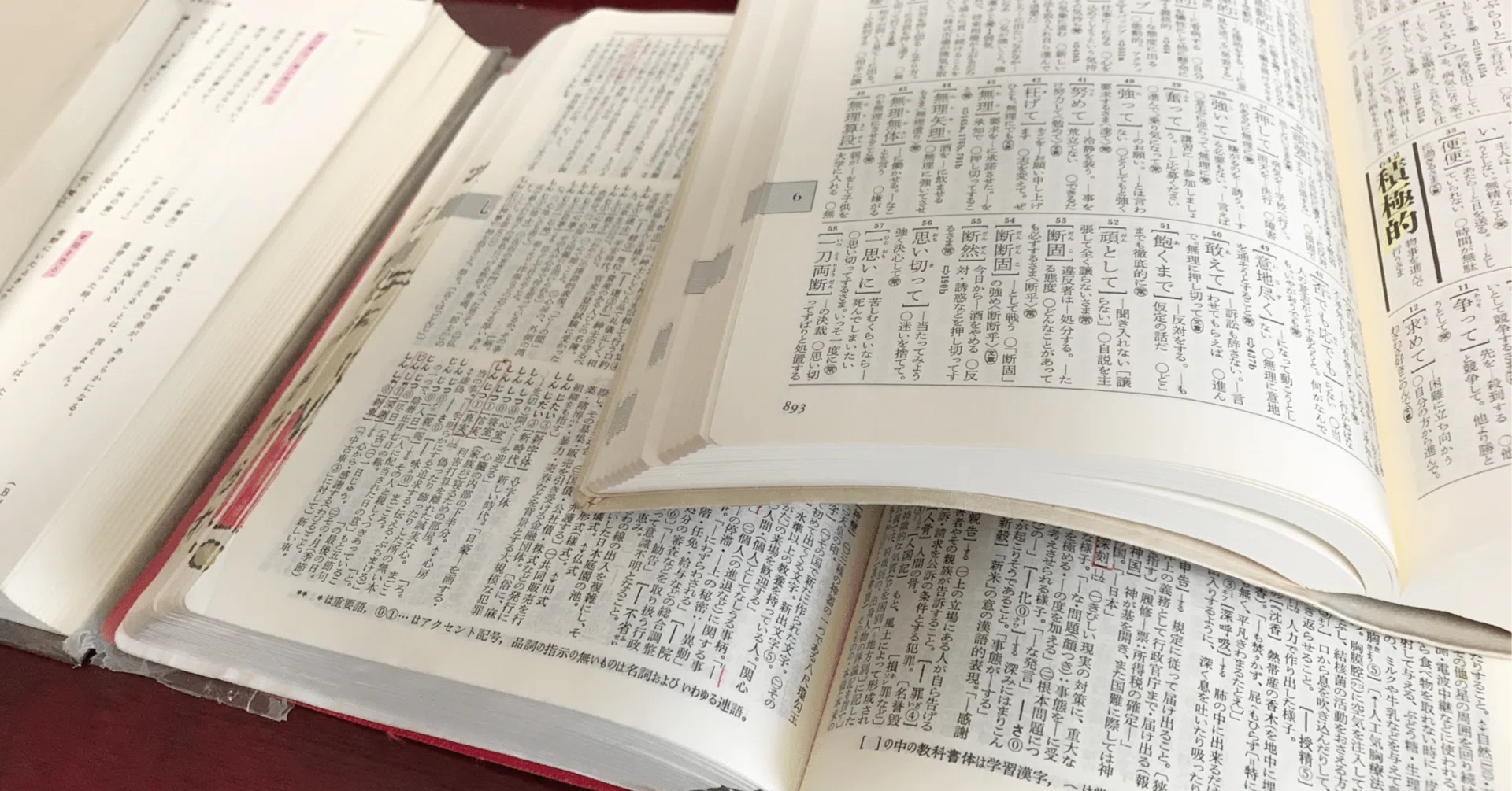 ポプラディア プラス 人物事典(全5巻) : 今泉忠明: 本