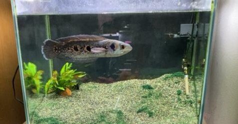 aa66735e51702ab365deb437469084