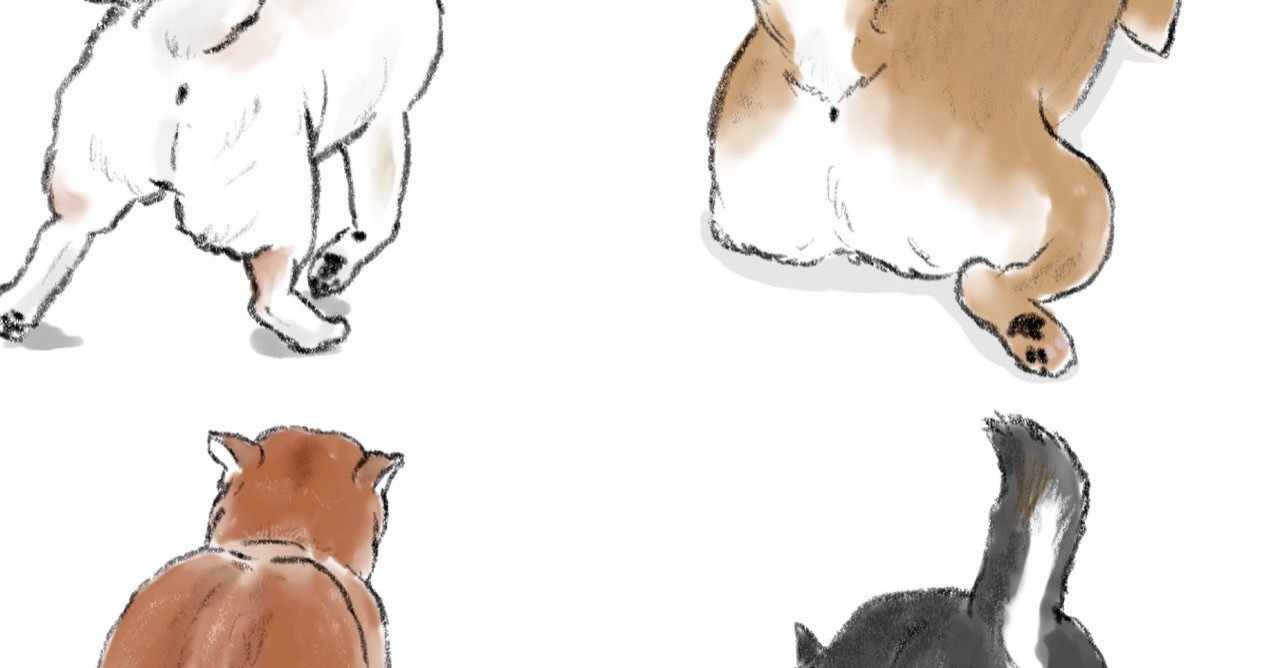 美しい花の画像 トップ100しばいぬ イラスト 美しい花の画像 トップ100しばいぬ イラスト