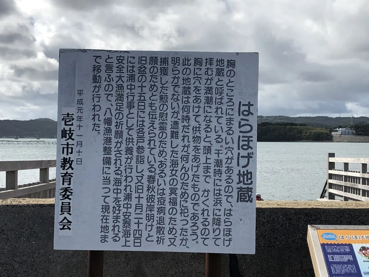 画像9