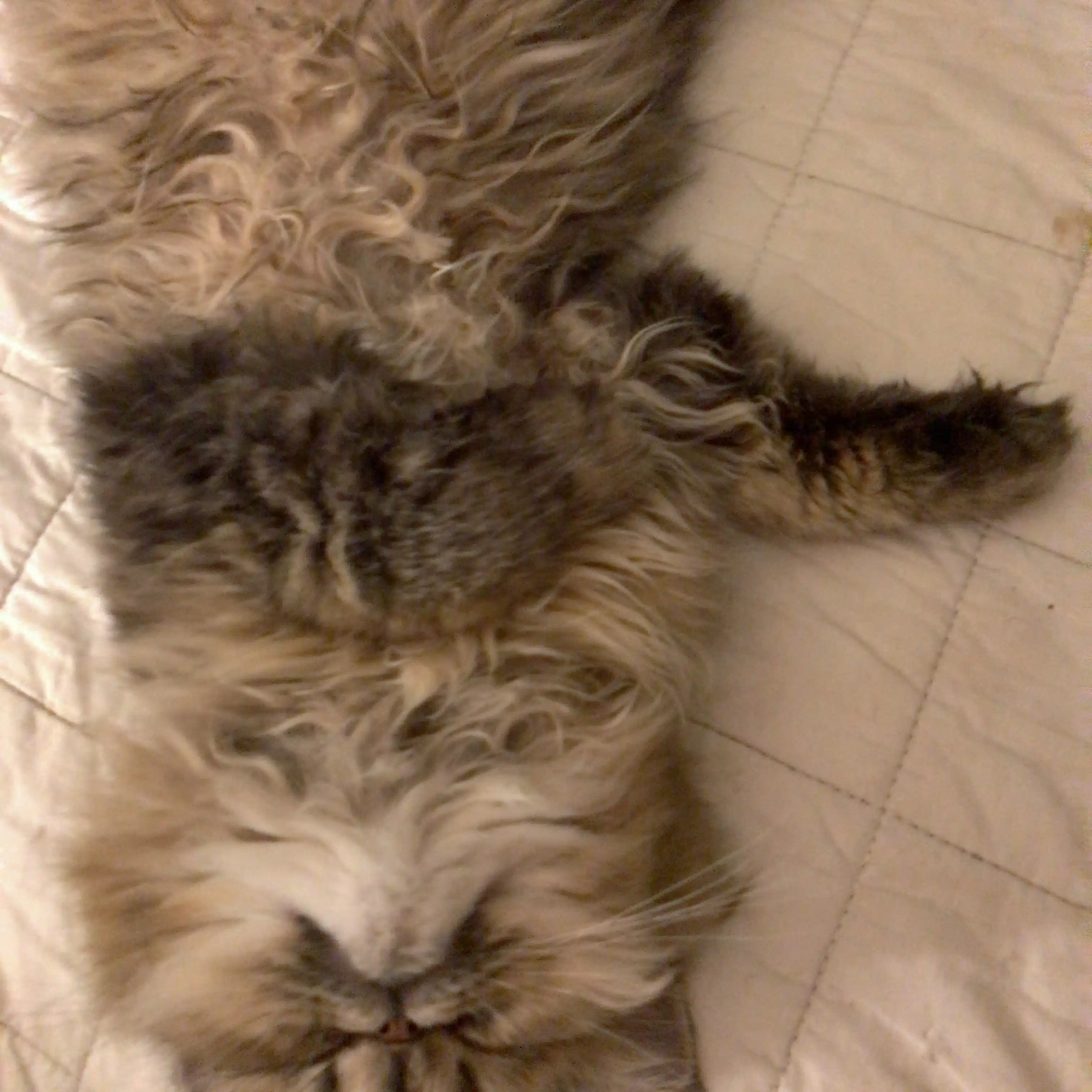のワの