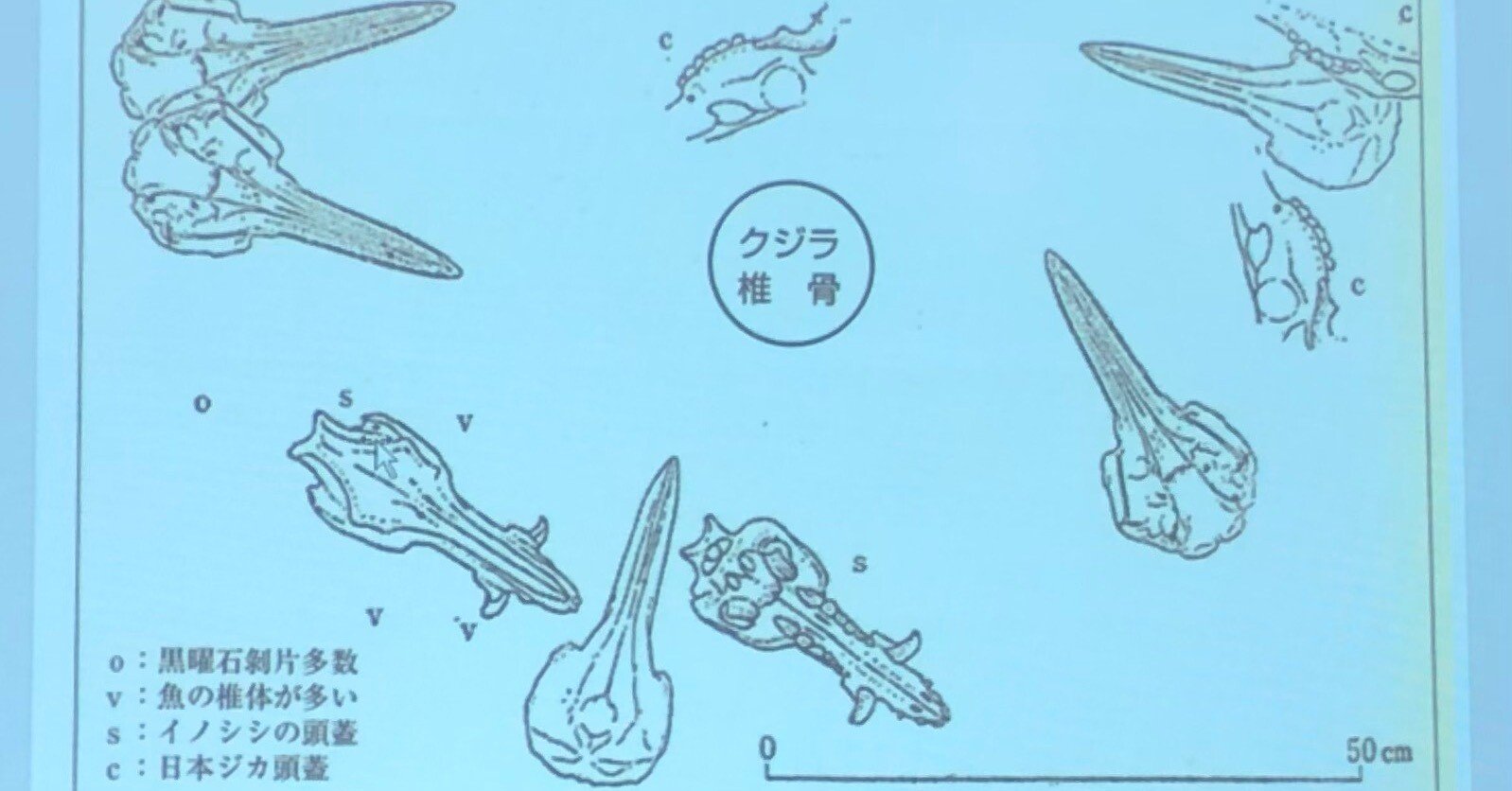 684355b3e98b8e13afcd15864eac78