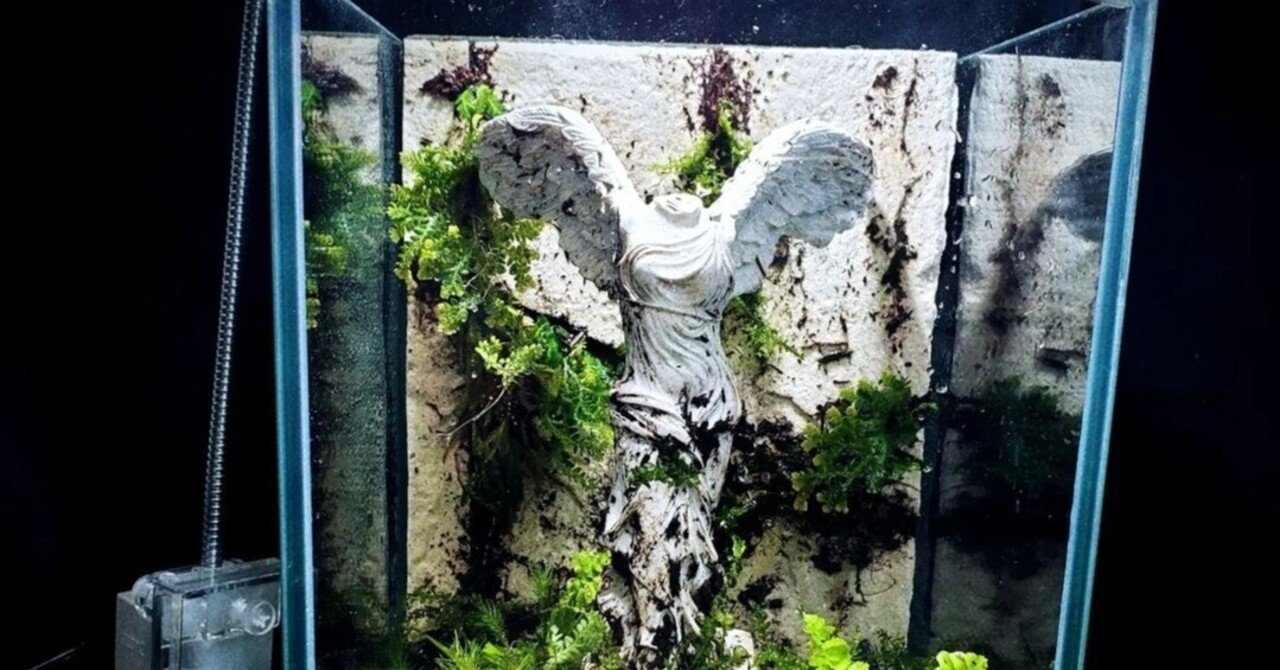 苔テラリウム五輪2024｜moss paradise3055（モスパラ）