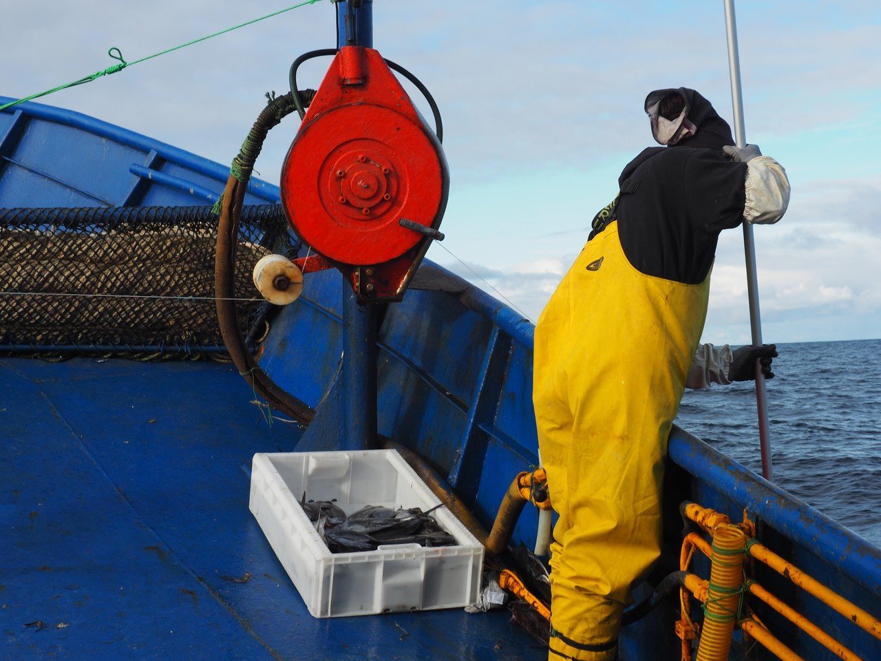 若漁師エリックは本当に21歳なのか｜志田岳弥