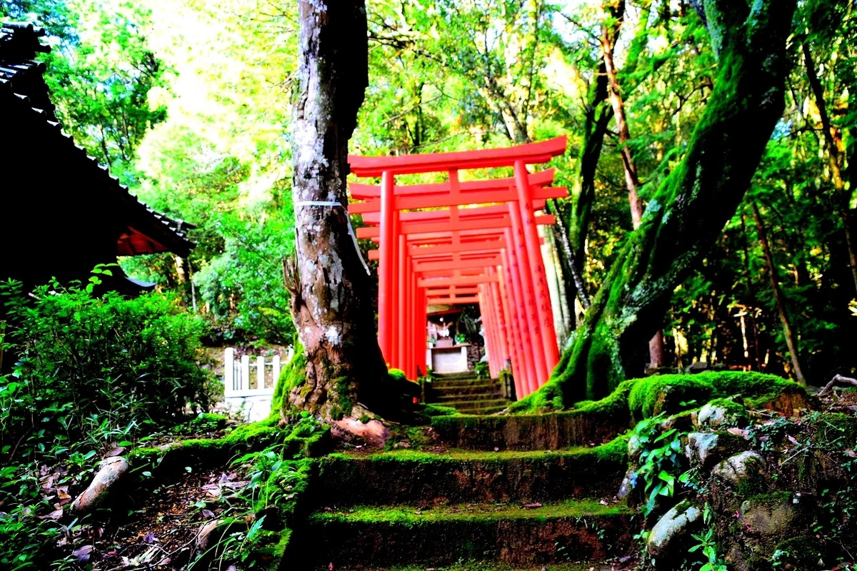画像