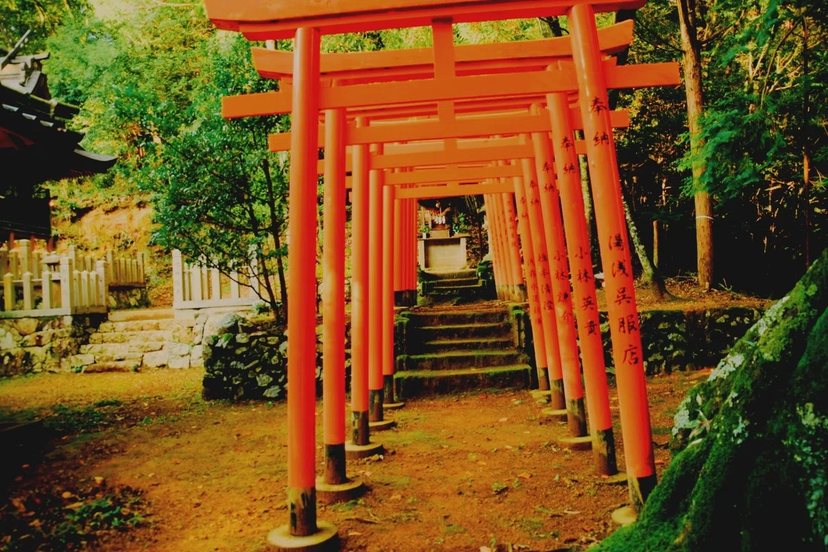 画像