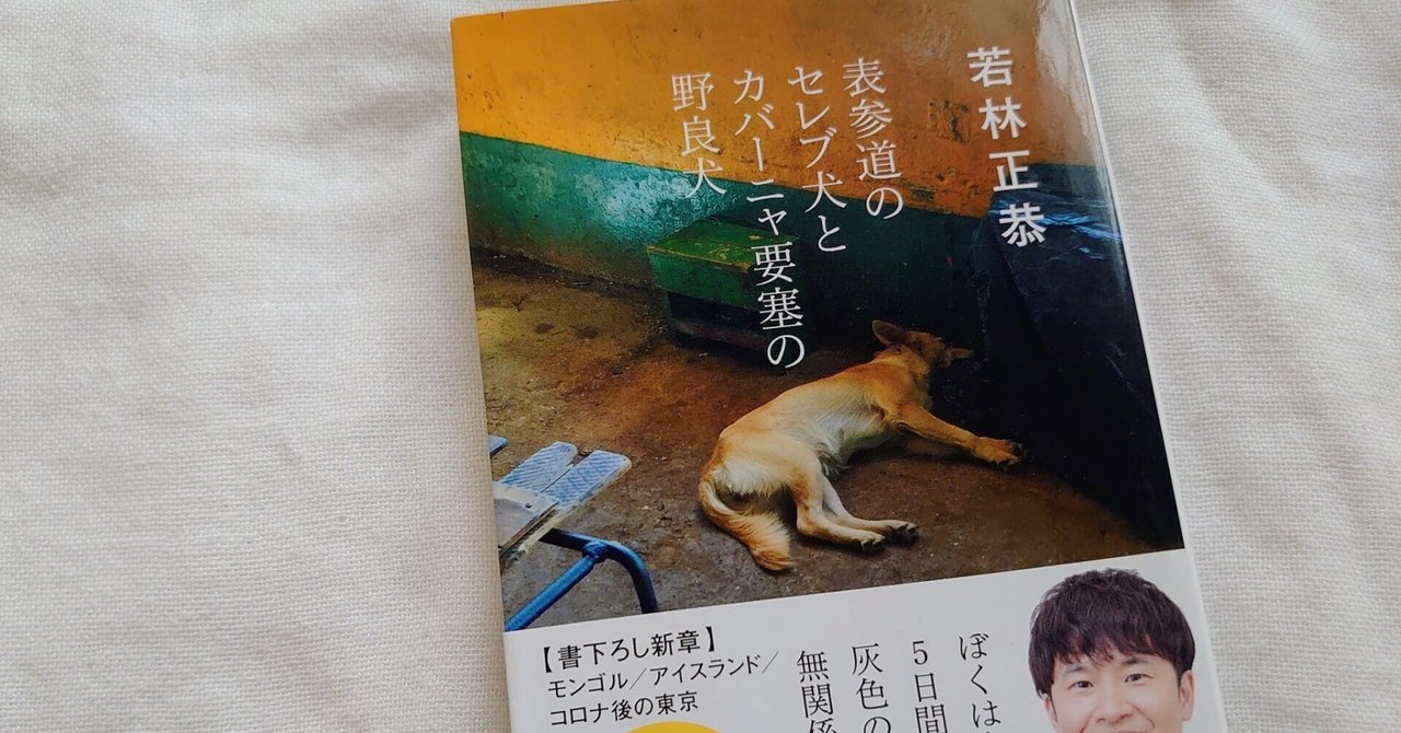 表参道のセレブ犬とカバーニャ要塞の野良犬』若林正恭
