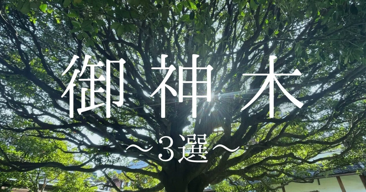 御神木3選 & 木が喜ぶ接し方｜日日是吉日