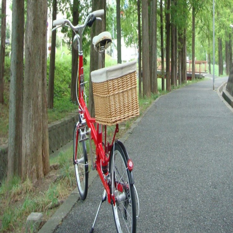 私と愛車の物語 その4 ブリヂストンモールトン｜アンジー