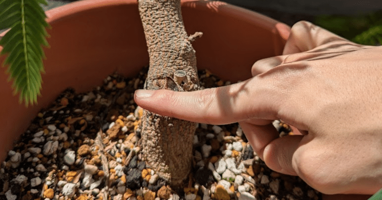 a6e6c1a6e8f7468859708a1a4e08c1