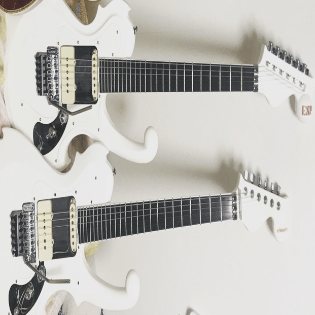 第一回】Grass Roots G-NS-70レビューと改造した話【PUと配線編】｜夜