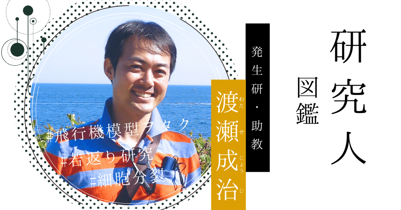 Vol.14 渡瀬成治｜細胞分裂の6美しさに魅せられた博士｜｜くま