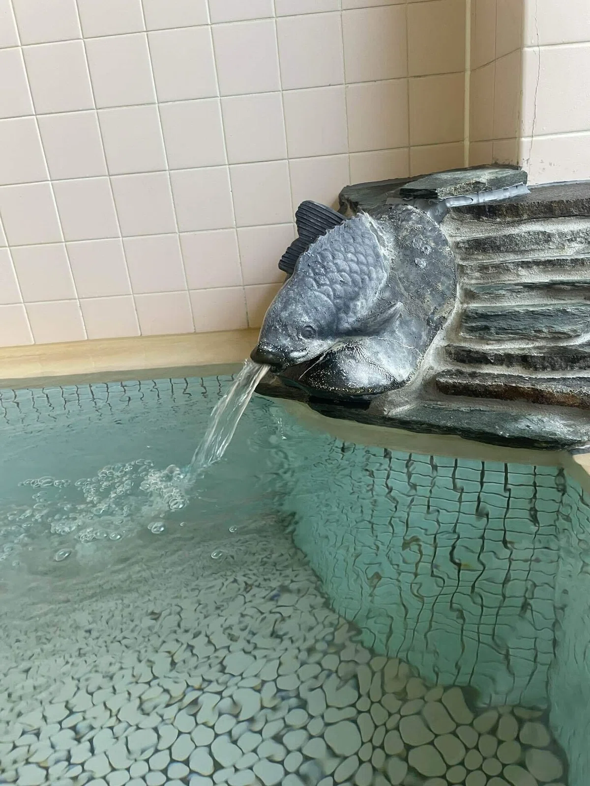 ç»å