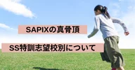 SAPIXの使い方｜元SAPIX6年αブロック担当武田(現中学受験算数家庭教師