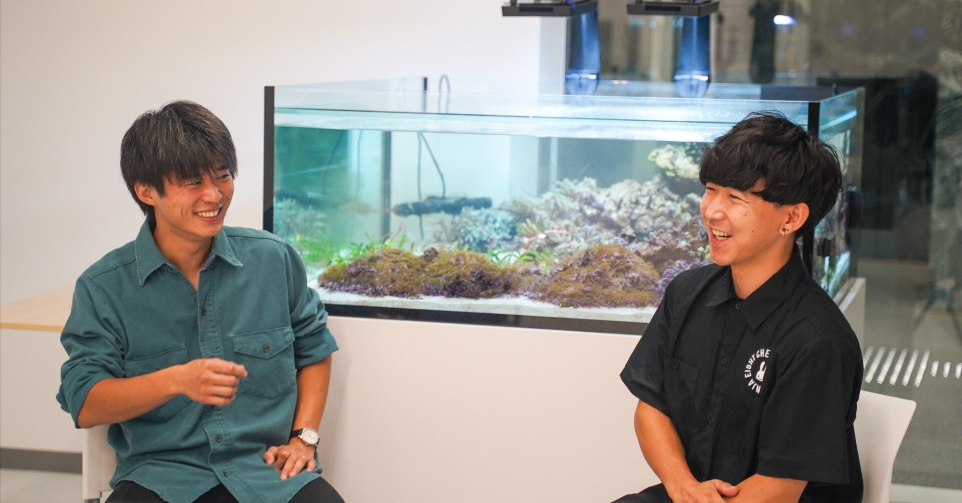 ed48de463dd5369967da7ed068ed45