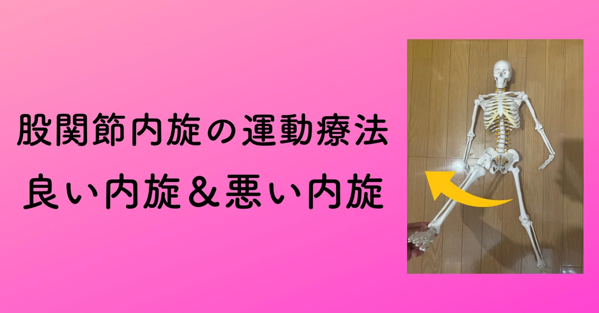 【股関節内旋の運動療法】良い内旋と悪い内旋の明確な違いについて解説！｜薬師寺偲【理学療法士＆ピラティス専門家】