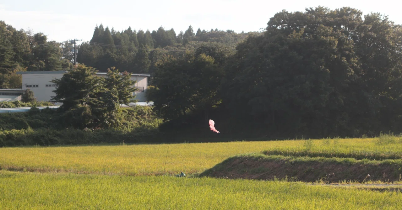Memories of the Vanished Wind: A Short Story｜ぬる