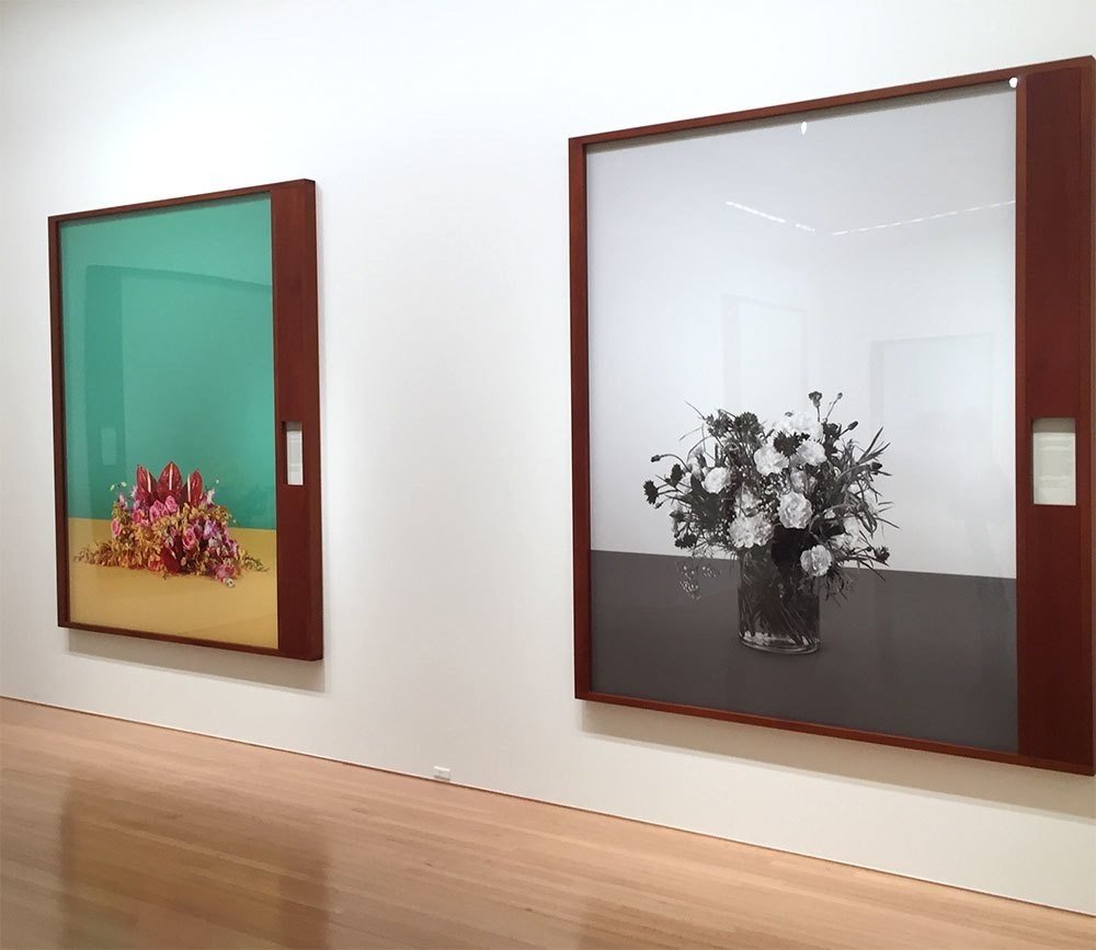 タリン・サイモン｜ガモさん