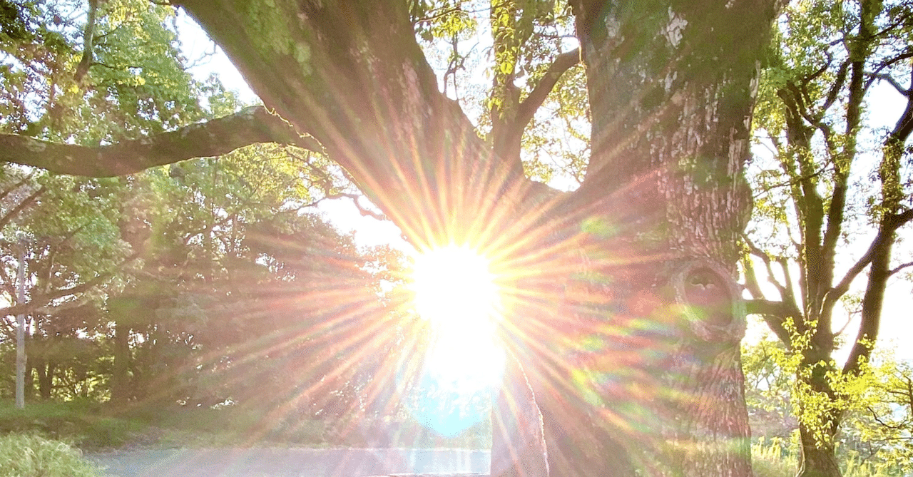 8/26 kin50 黒kin White Spectral Dog銀河の音11｜Rainbow_Drops