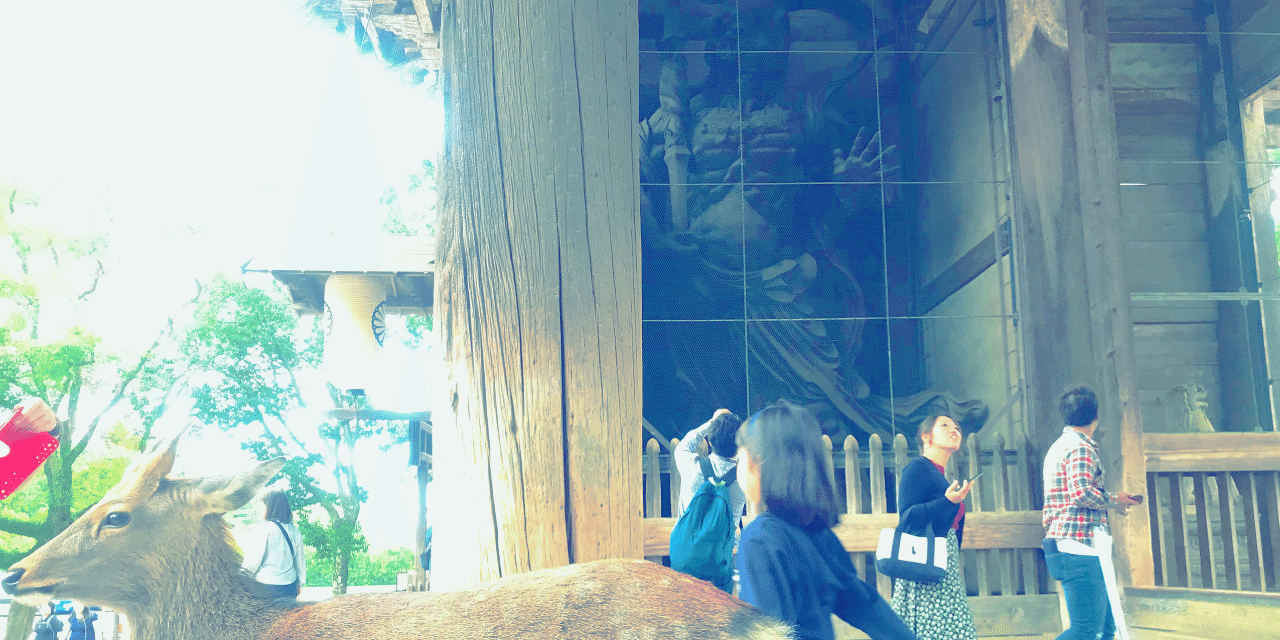 阿吽の息遣いと迫力 / Breathing and Power of A-Un｜Ryoma. Y