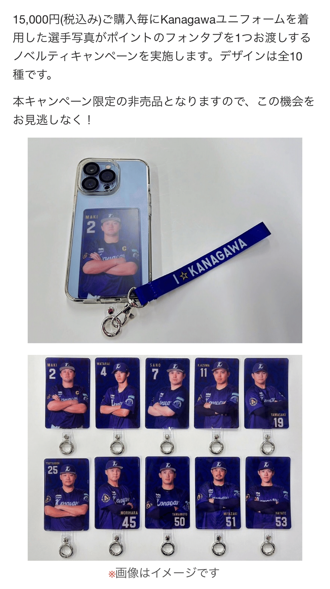 横浜DeNAベイスターズ ファンクラブ「BlueMates」STAR・ランク 横浜DeNAベイスターズ ファンクラブ「BlueMates」STAR・ランク