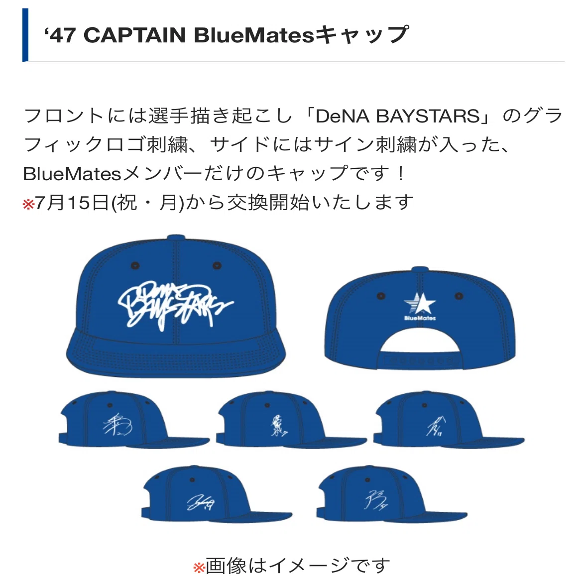 横浜DeNAベイスターズ ファンクラブ「BlueMates」STAR・ランク進捗【8