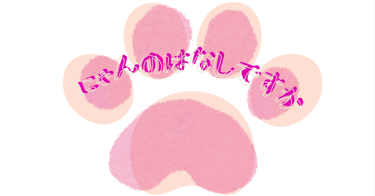 フォーチュンバニー カナ 点て