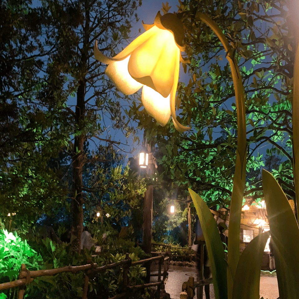 精霊の生み出すネバーランドは、ロマン溢れる感動体験のフロンティア