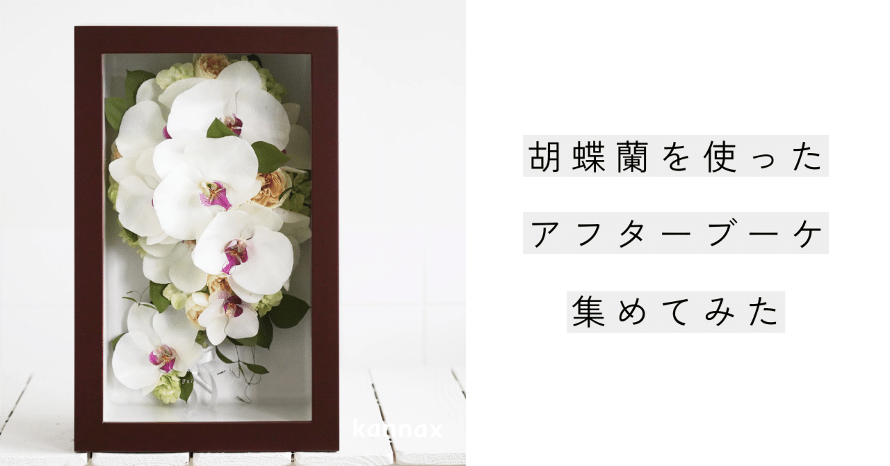 押し花専用額 押し花アート 不思議な花倶楽部 白 蘭 押し花絵額 胡蝶蘭 寝そべり