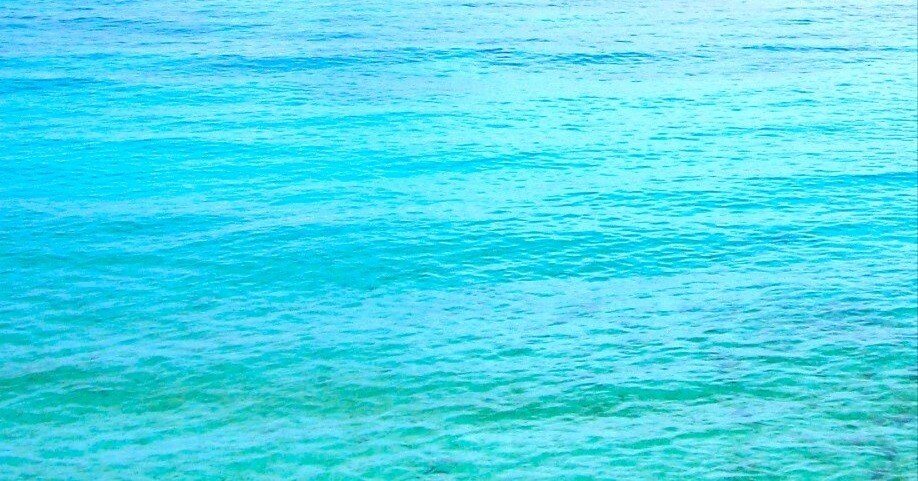 e5eecd4e7ed7c884e76f62e2b7f2ed