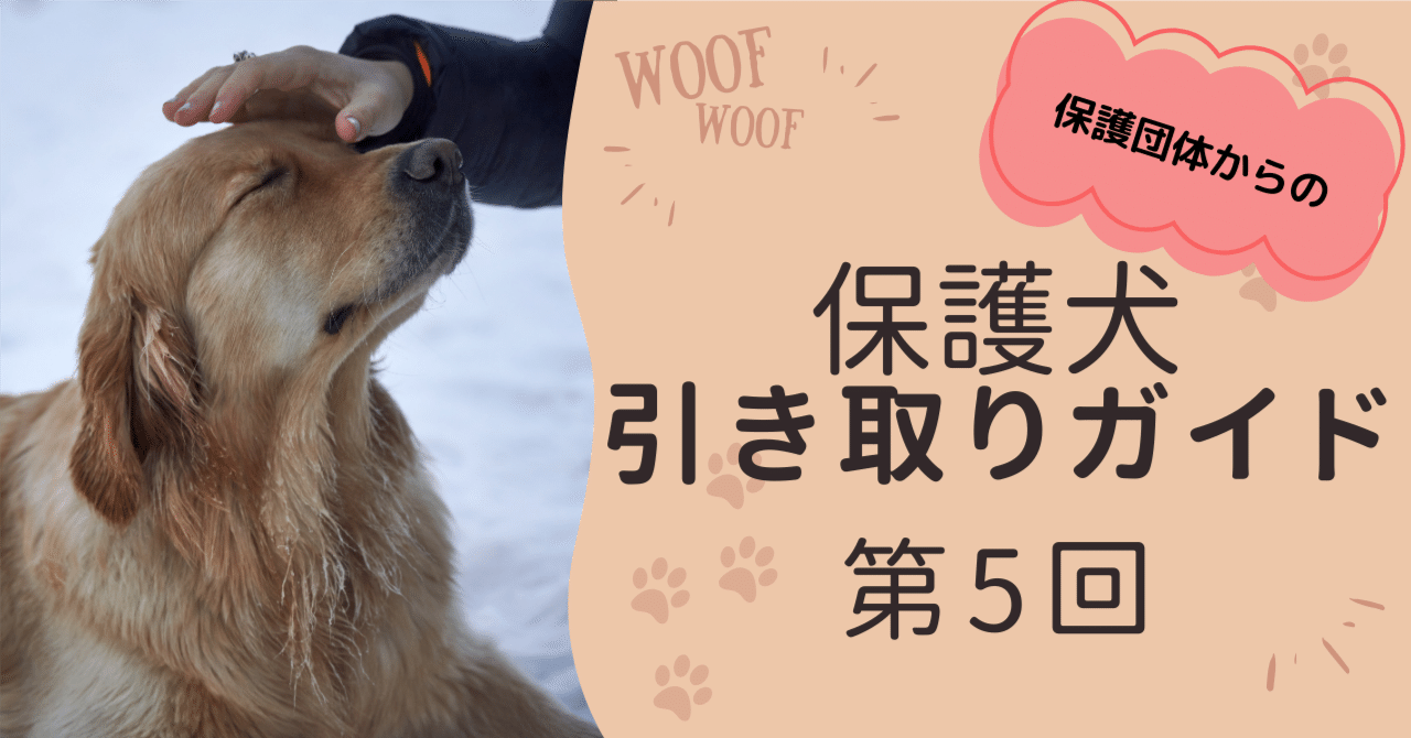 rectangle_large_type_2_573d2d3  