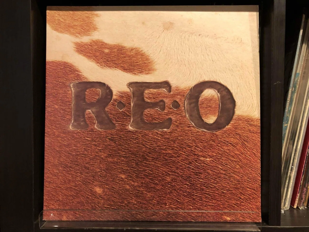 キープ・プッシン／R.E.O. スピードワゴン ('76)｜Takeshi Tada