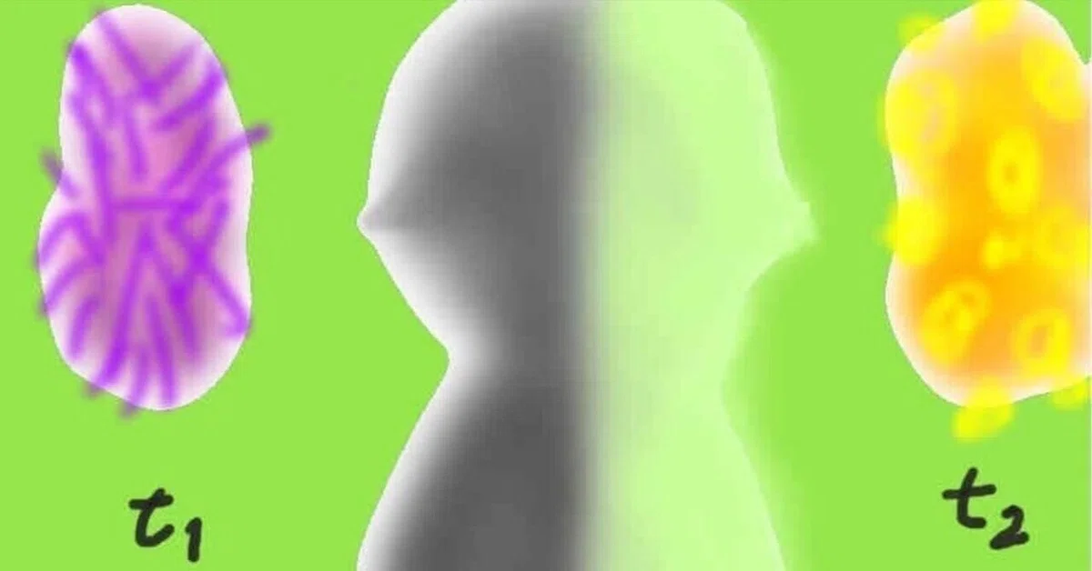 èŠåºãç»å