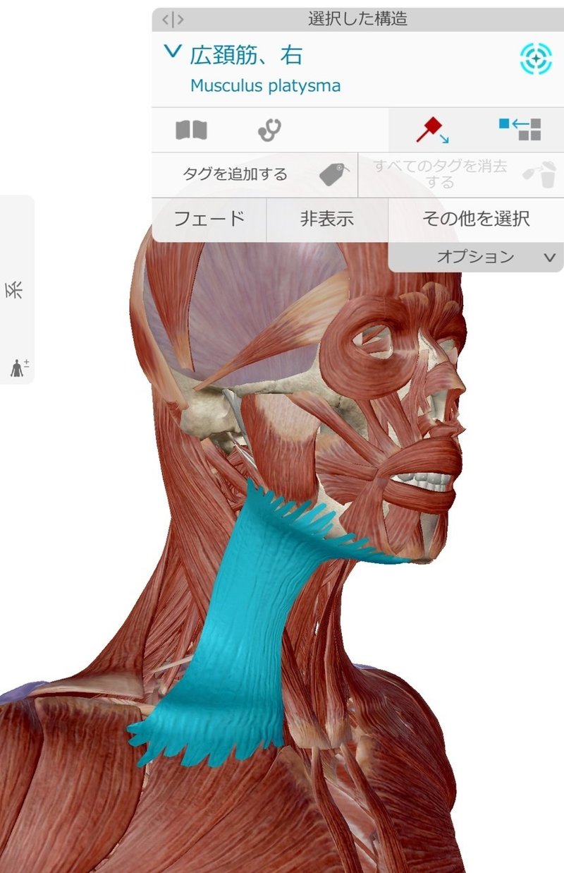 顎関節の調整 北川 雄介 身体能力開発専門家 Note