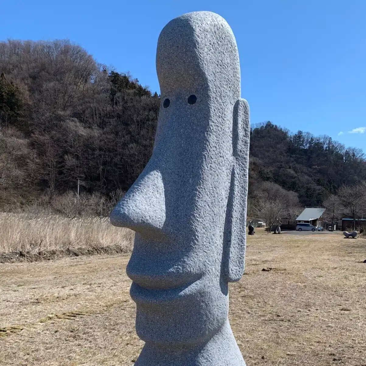 サイケデリック心理士の日常
