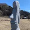 サイケデリック心理士の日常
