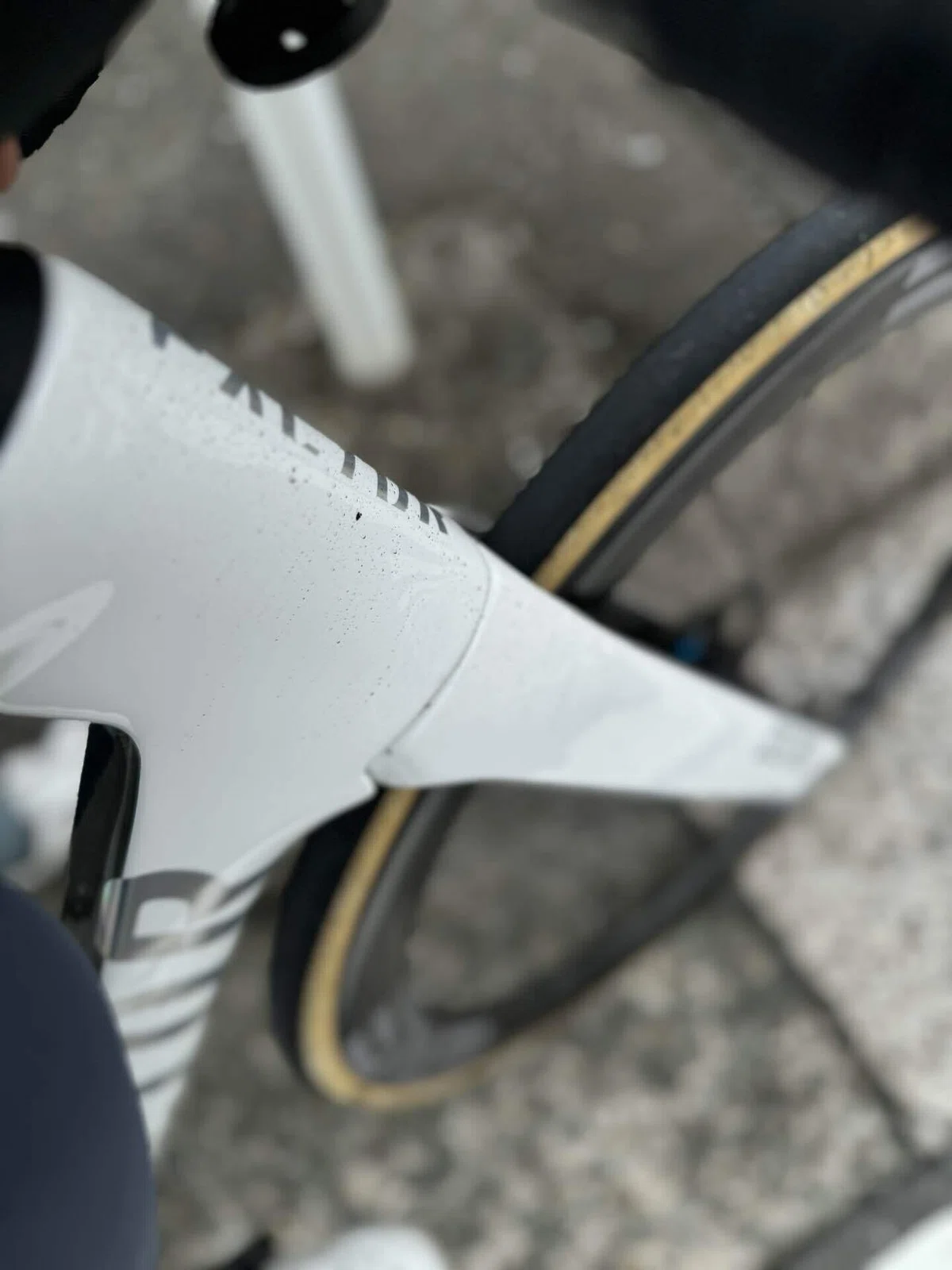 ENVE SES 4.5 インプレ｜いもひろし