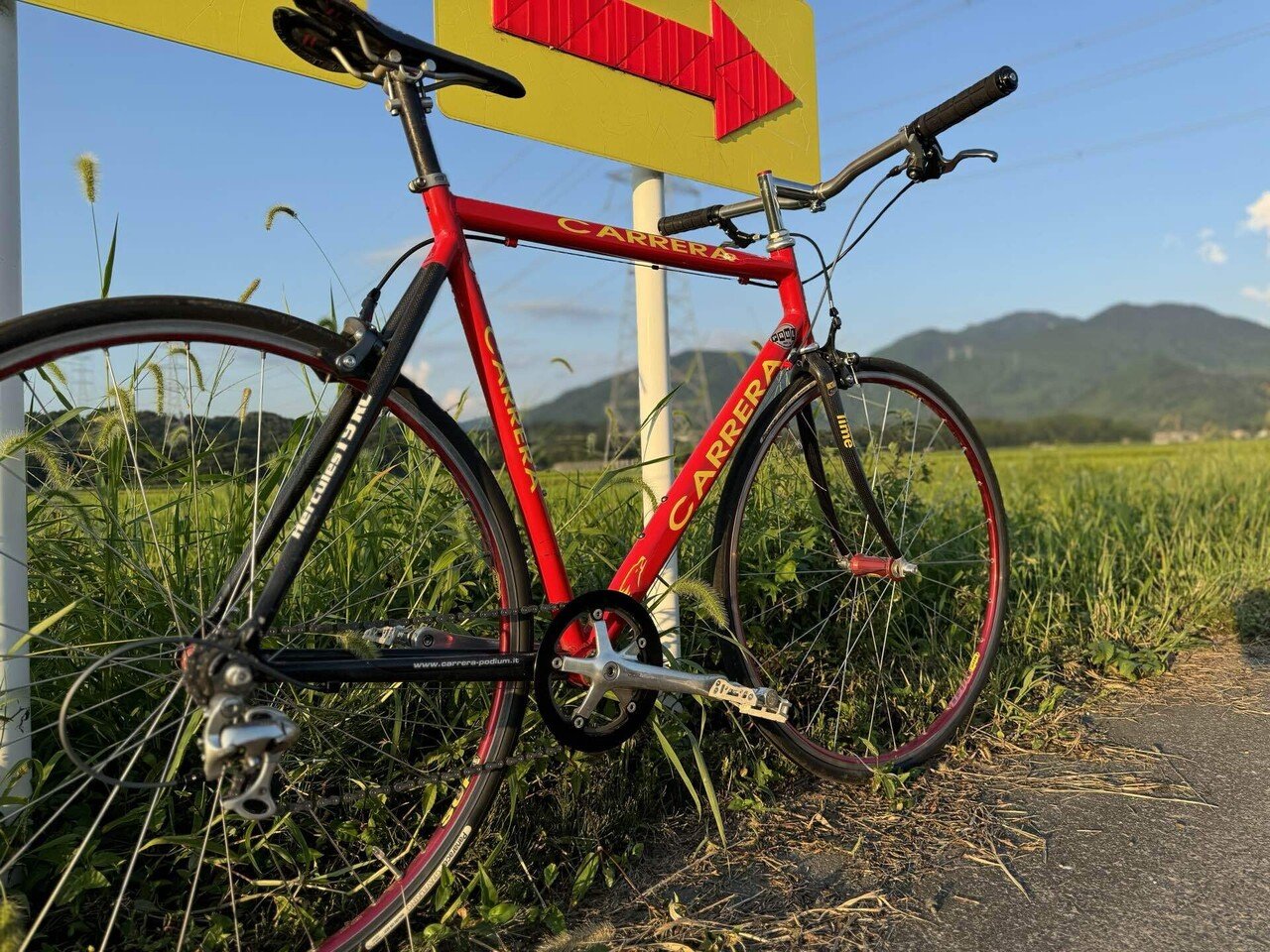 CARRERA Hercules T9RC 1×2カスタム｜ka2hiko