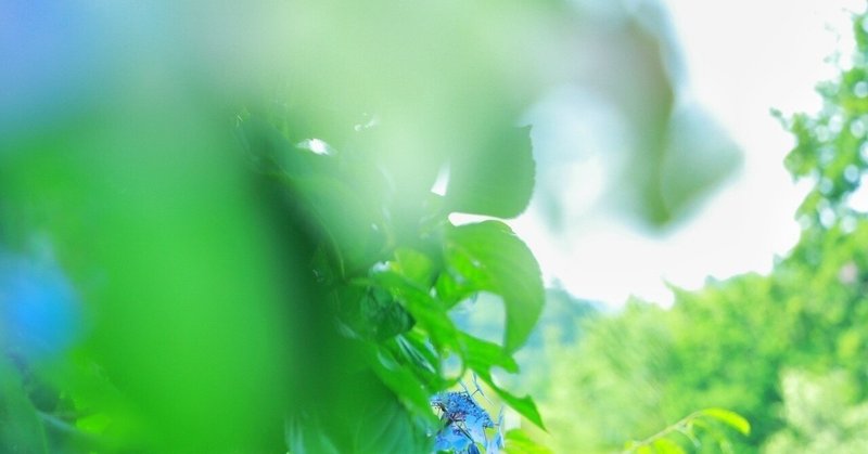 人と会うと疲れるタイプ 元気になるタイプ かすきんわじこ note