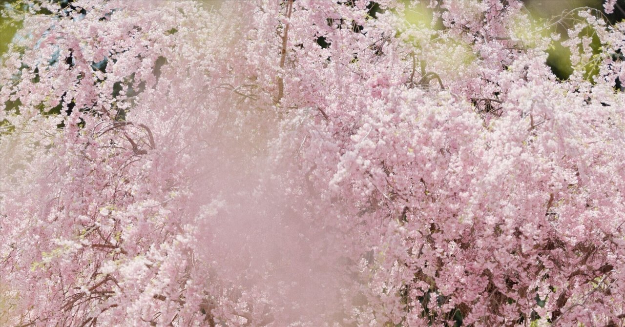 【作例あり】mamiyaSEKORC80mmF4+FotodioxM645-GF 何気ない懐かしさに魅力を感じて。 写真を通じて、記憶に残る