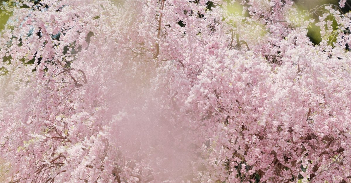 おか様　sigma 単焦点レンズ　105mm 　F1.4　 Art Amazon.co.jp: SIGMA(シグマ) カメラレンズ 105mm F1.4 DG HSM